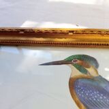 2 birds