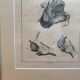 Framed Print Engraving Aphorisms Surgery Anatomy Herman Boerhaave