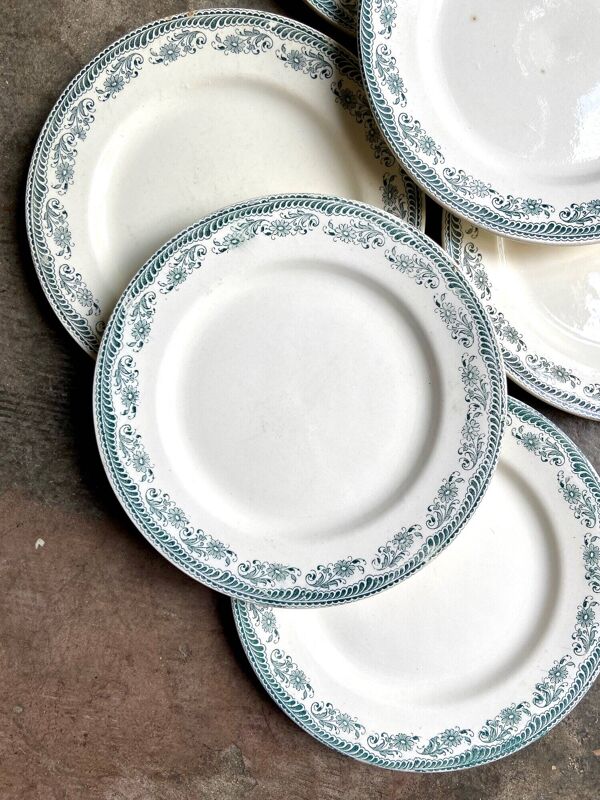 6 assiettes plates Salins en terre de fer, service ''Moustiers