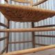 Wooden Dutch rustic farmers armchair Chair
