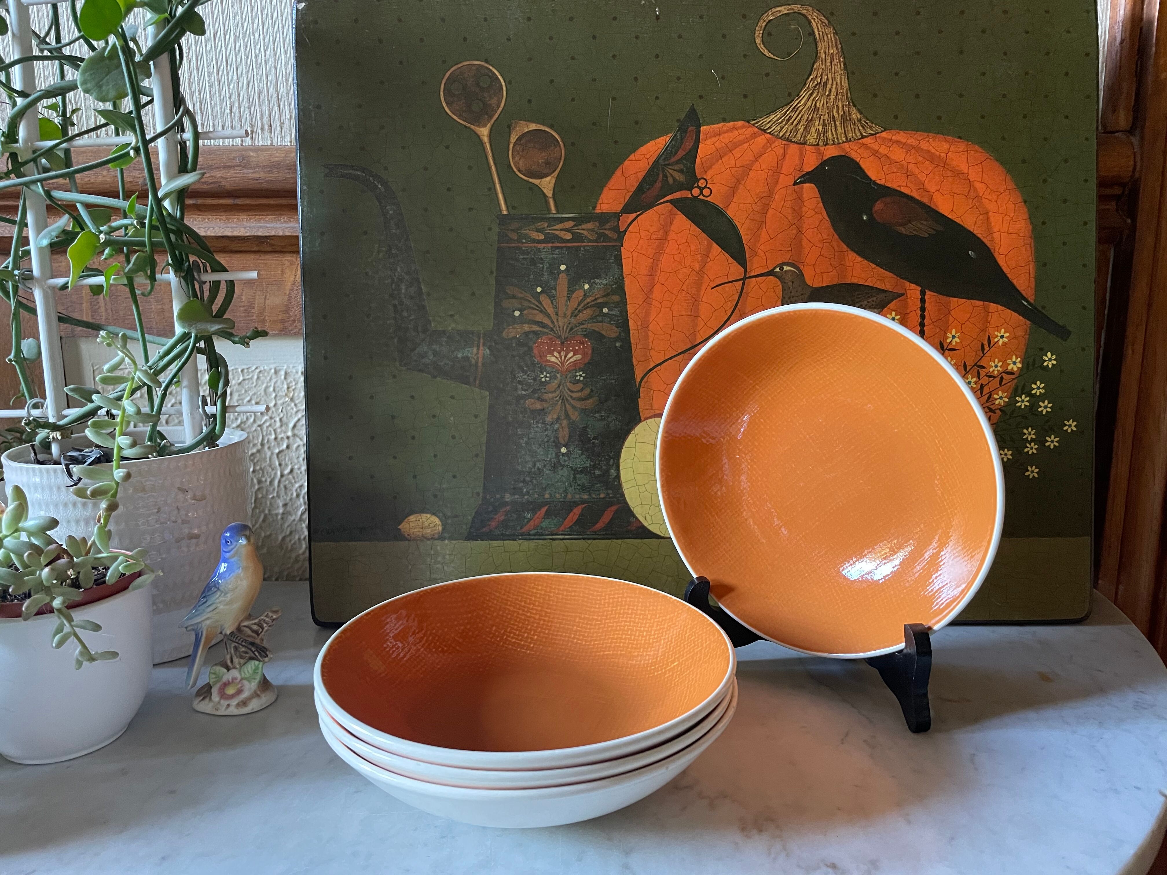 4 hollow plates Salins Deauville Corail