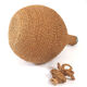Demijohn rope