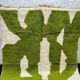 Pure wool rug green size 150 x 250 cm