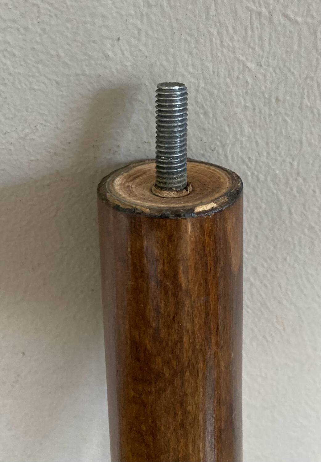Perroquet coat rack from the mid-20th century (deliverable)