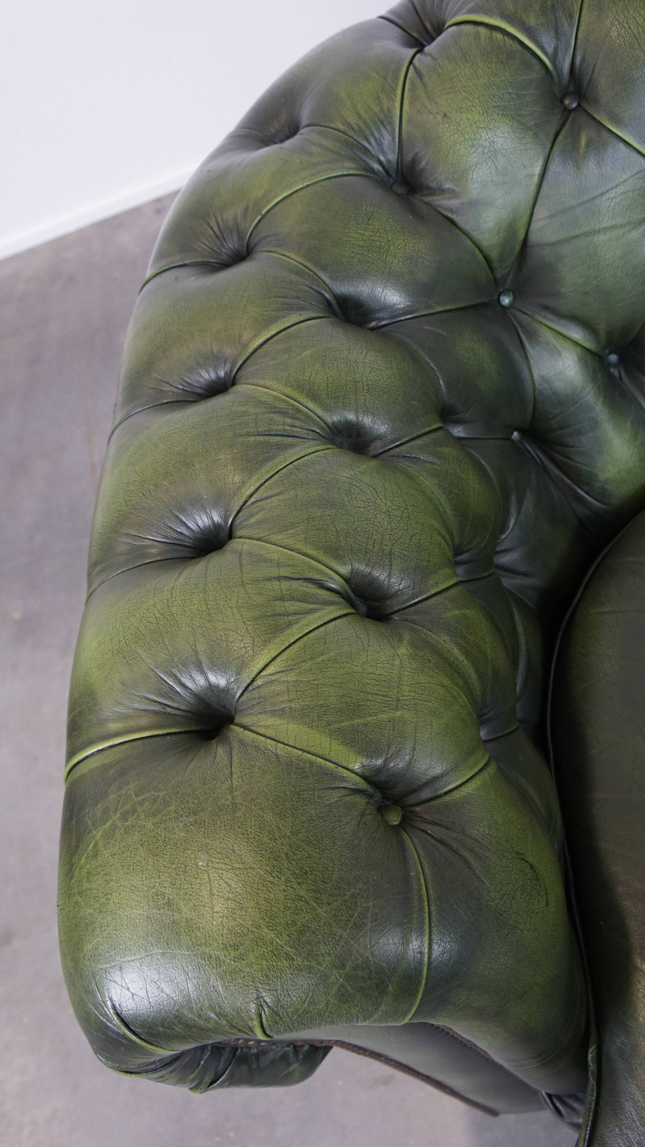 English Chesterfield 2-seater sofa in green cowhide leather