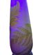 soliflore vase Emile Gallé 1900 1910
