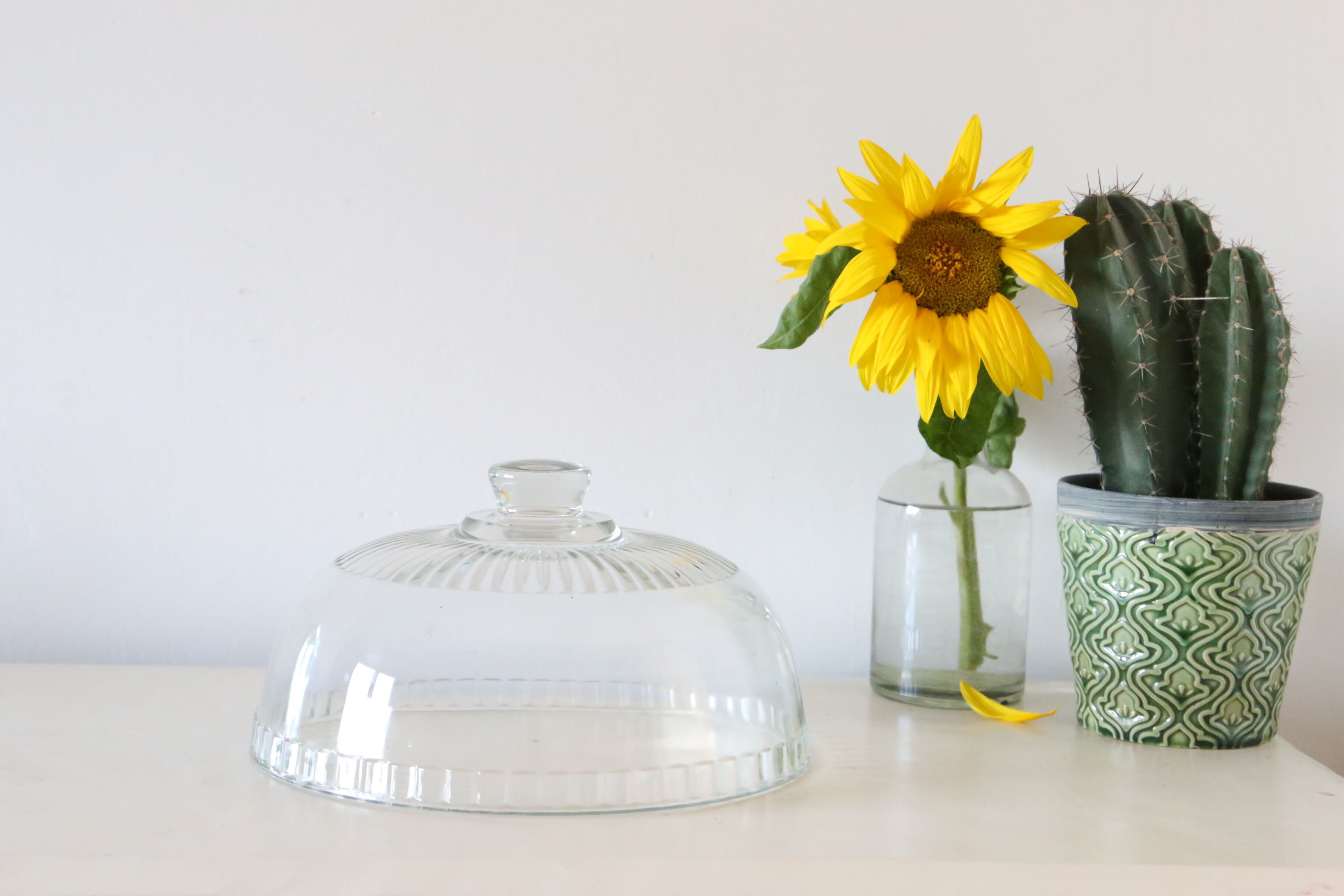 Glass cheese bell, vintage