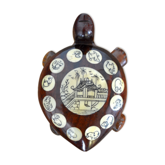 Compass turtle