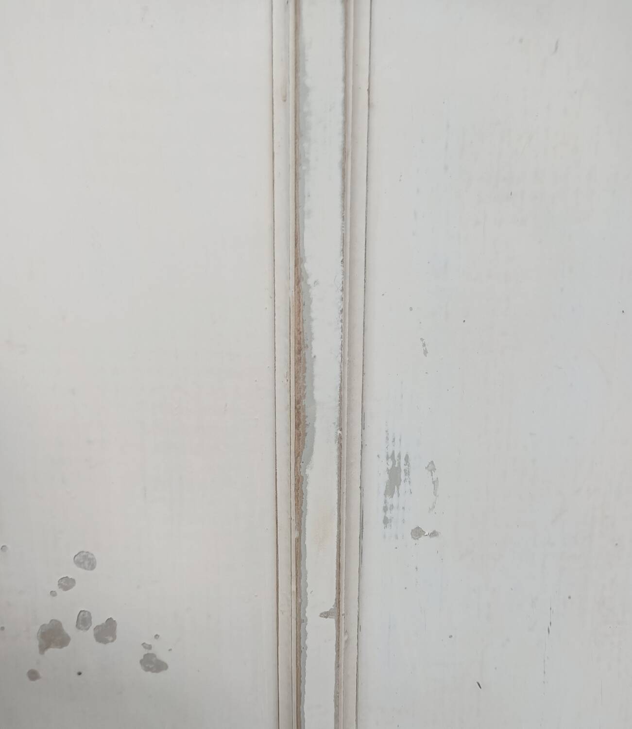 XXL Parisian wardrobe