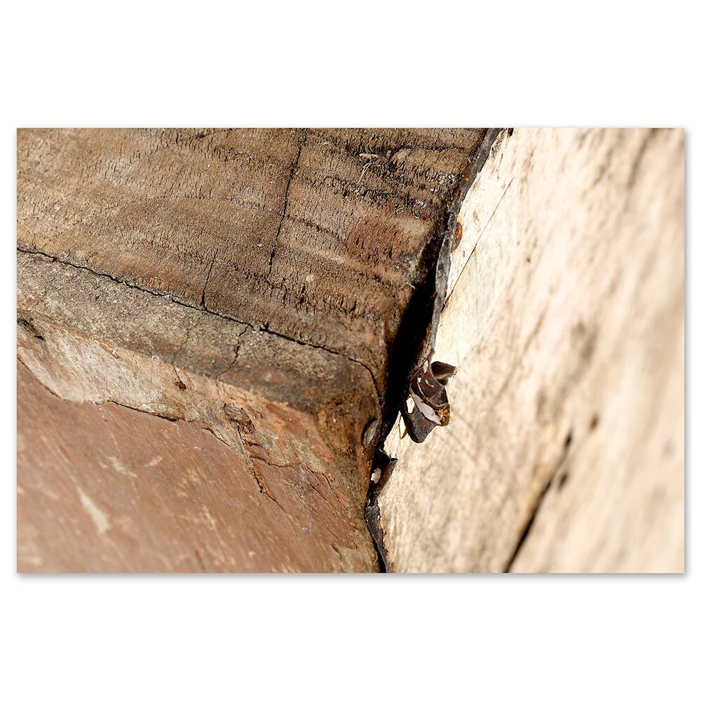 32-compartment wooden workshop cabinet