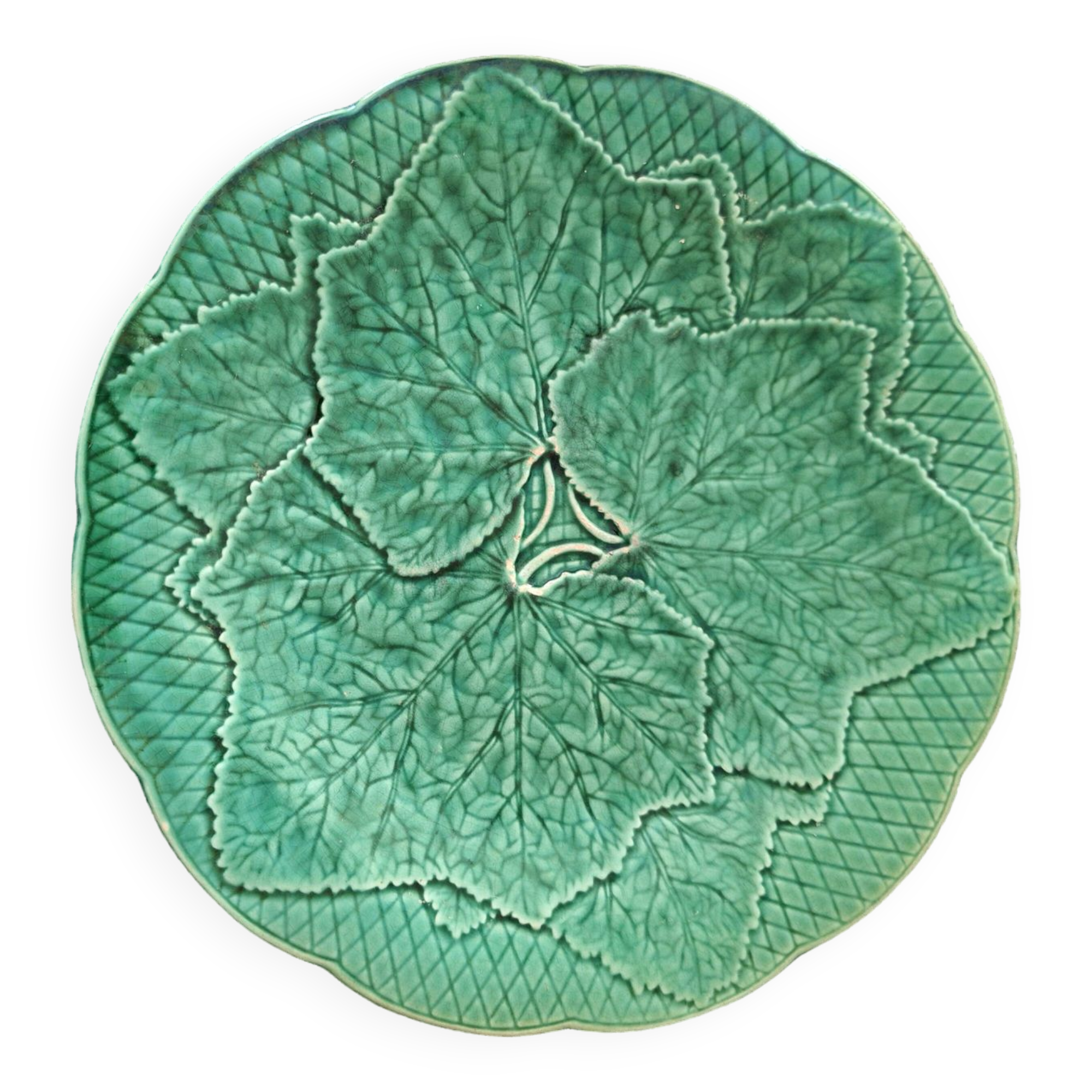 Green plate leaf of gien france