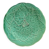 Green plate leaf of gien france
