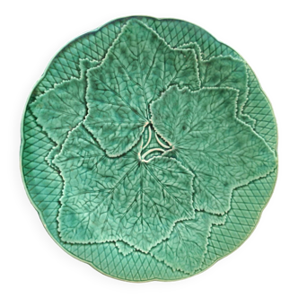 Green plate leaf of gien france
