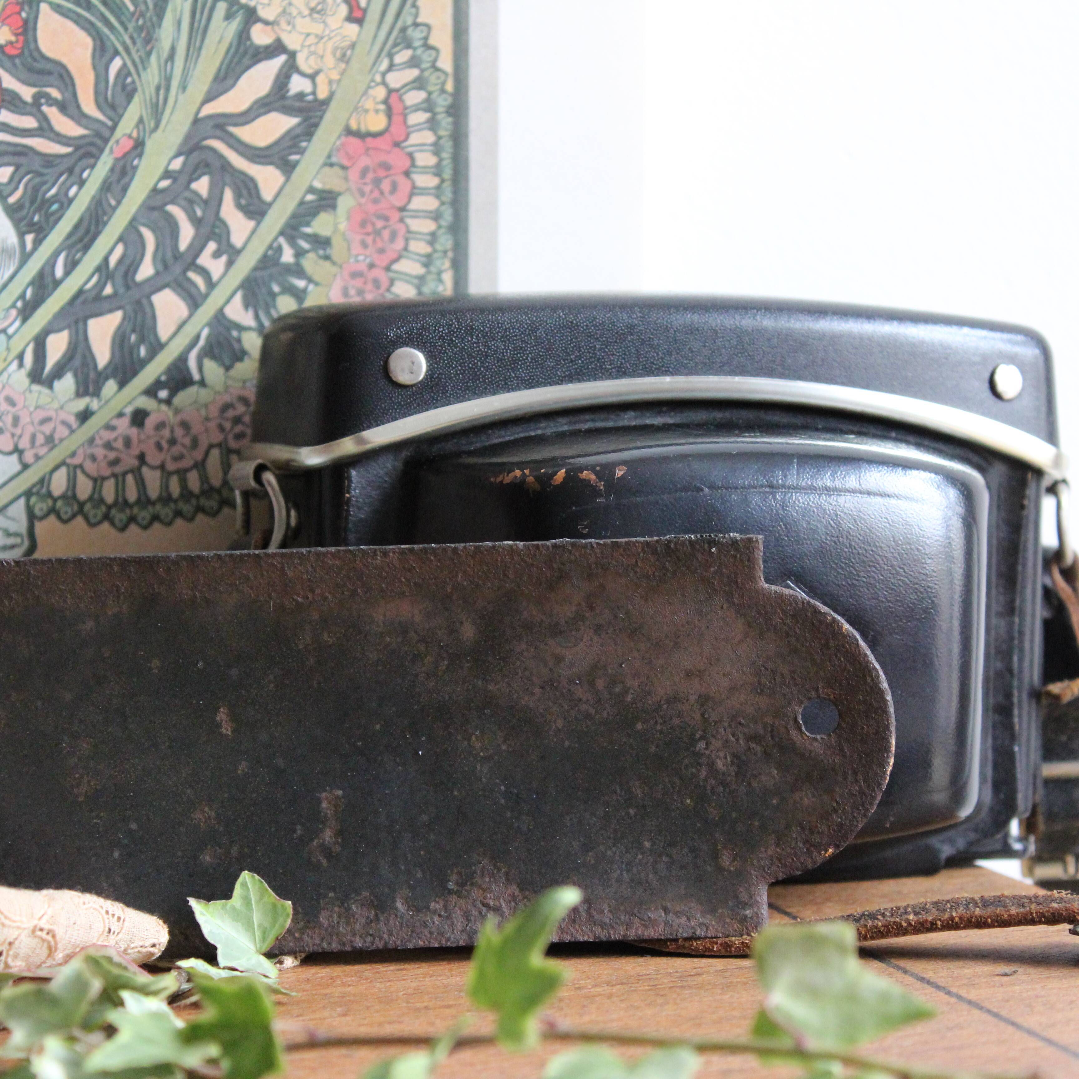 Ladies enamelled plaque