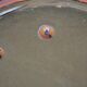 Billard de paquebot d'époque XIXème billard