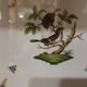 Fine porcelain Budapest porcelain, Herend Hungary