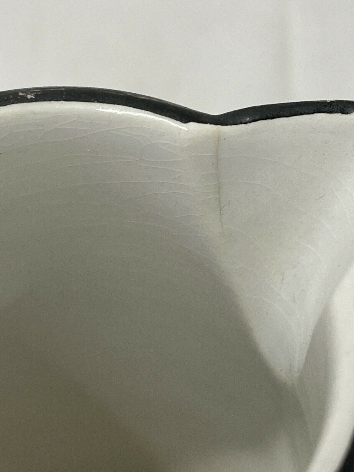 Pitcher Sarreguemines confetti