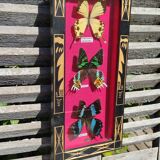 Vintage naturalized butterfly frame