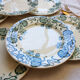 Lot de 6 assiettes plates Terre de Fer "Nénuphar" R&A Salins