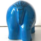 Hippopotamus