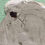 Lamp base in sculpted terracotta featuring birds, signed.