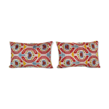 Paire de coussins Ikat