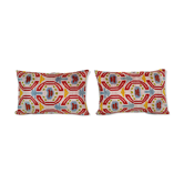 Paire de coussins Ikat