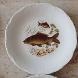 11 dinner plates, one large oval dish, and one gravy boat.