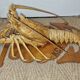 Naturalized lobster of the mid-twentieth century