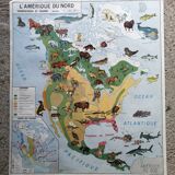 Vintage school map mdi North America-Asia Wildlife