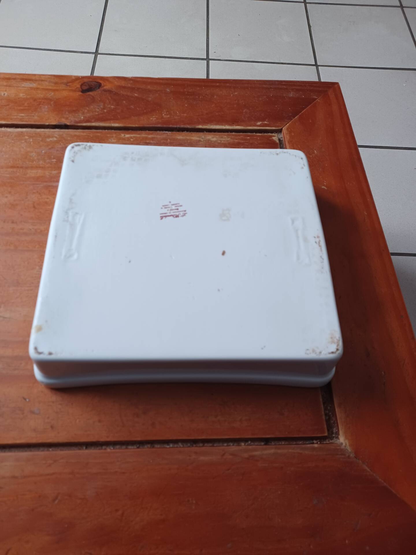 Porcelain plate the swallow