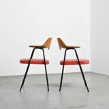 Pair of armchairs model 675 by Robin and Lucienne Day, Airborne, France, 1950s.