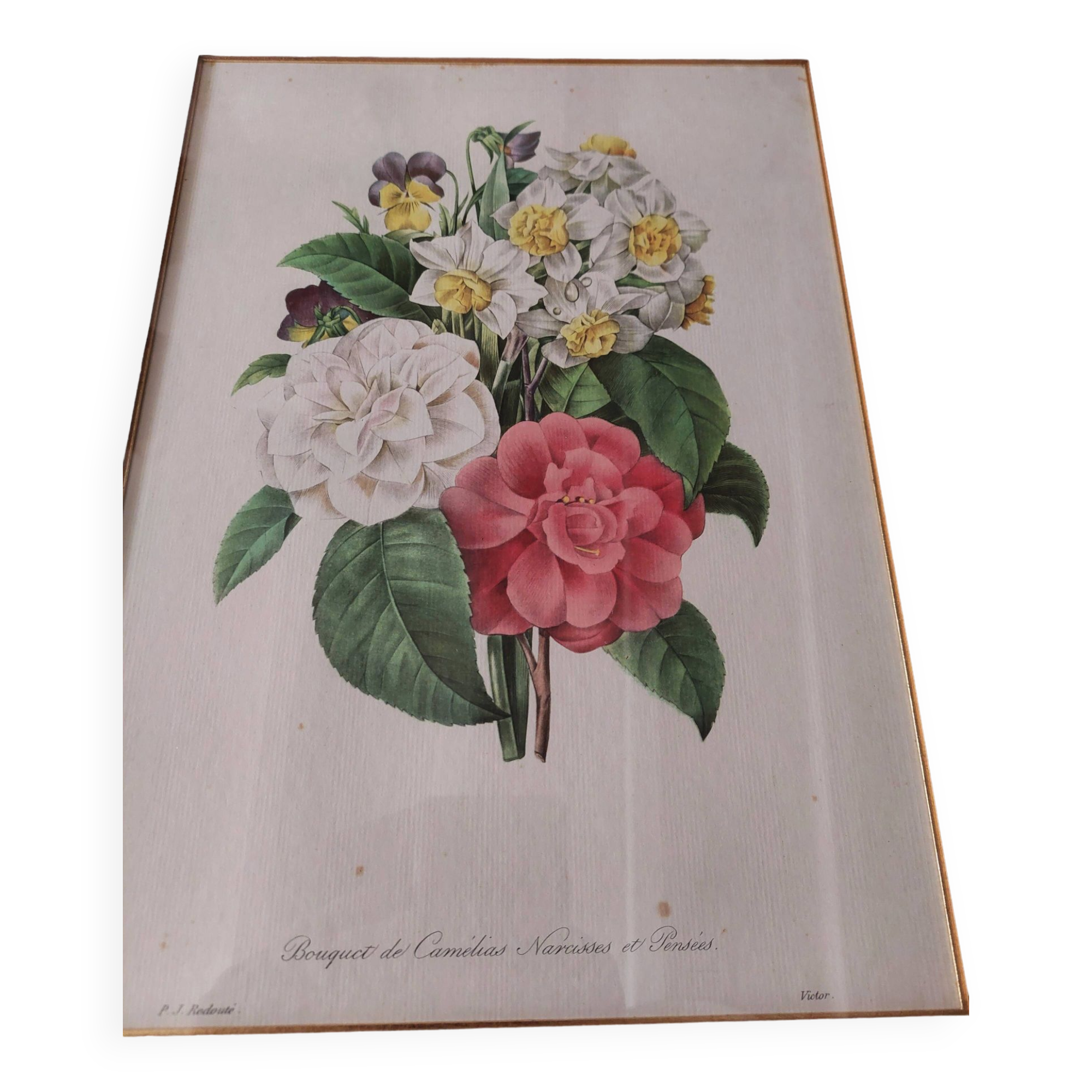 Engraving after Pierre Joseph Redouté engraved by Victor bouquet camellias