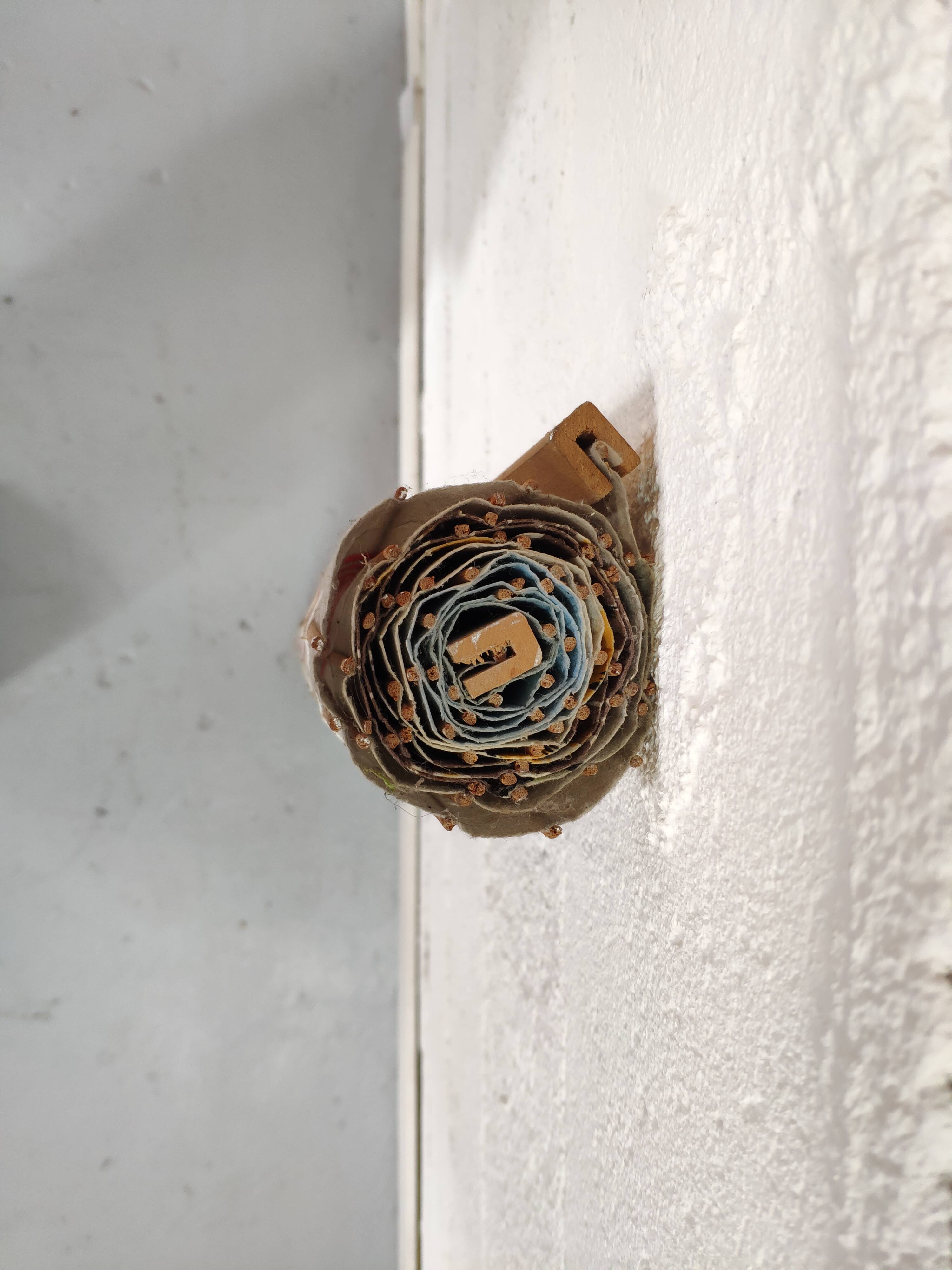 Old Harley Davidson roller blind