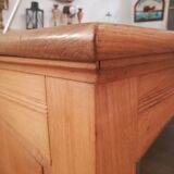 Art deco showcase counter in elm