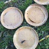 Lot of sandstone dishes