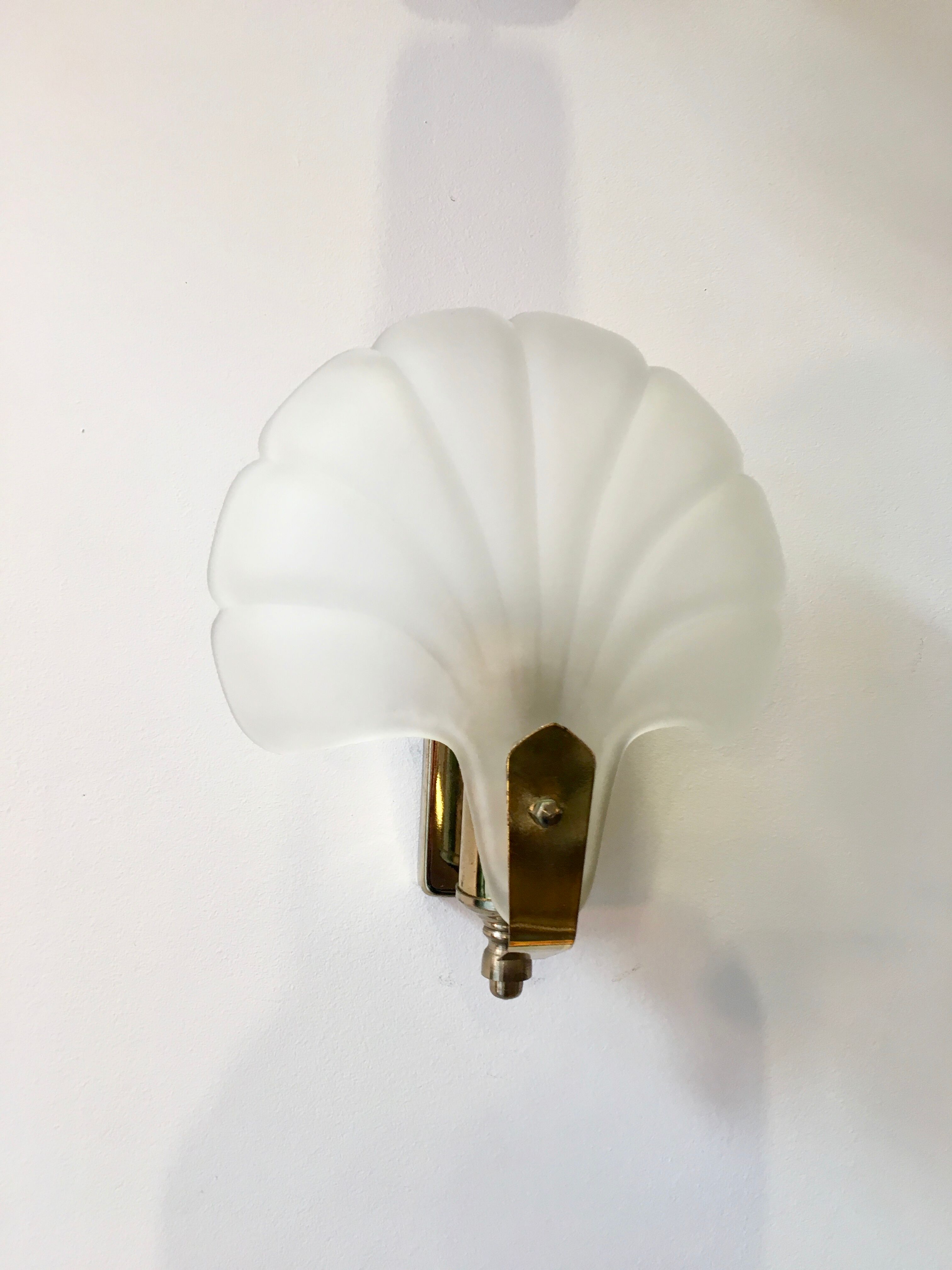 Shell wall lamp