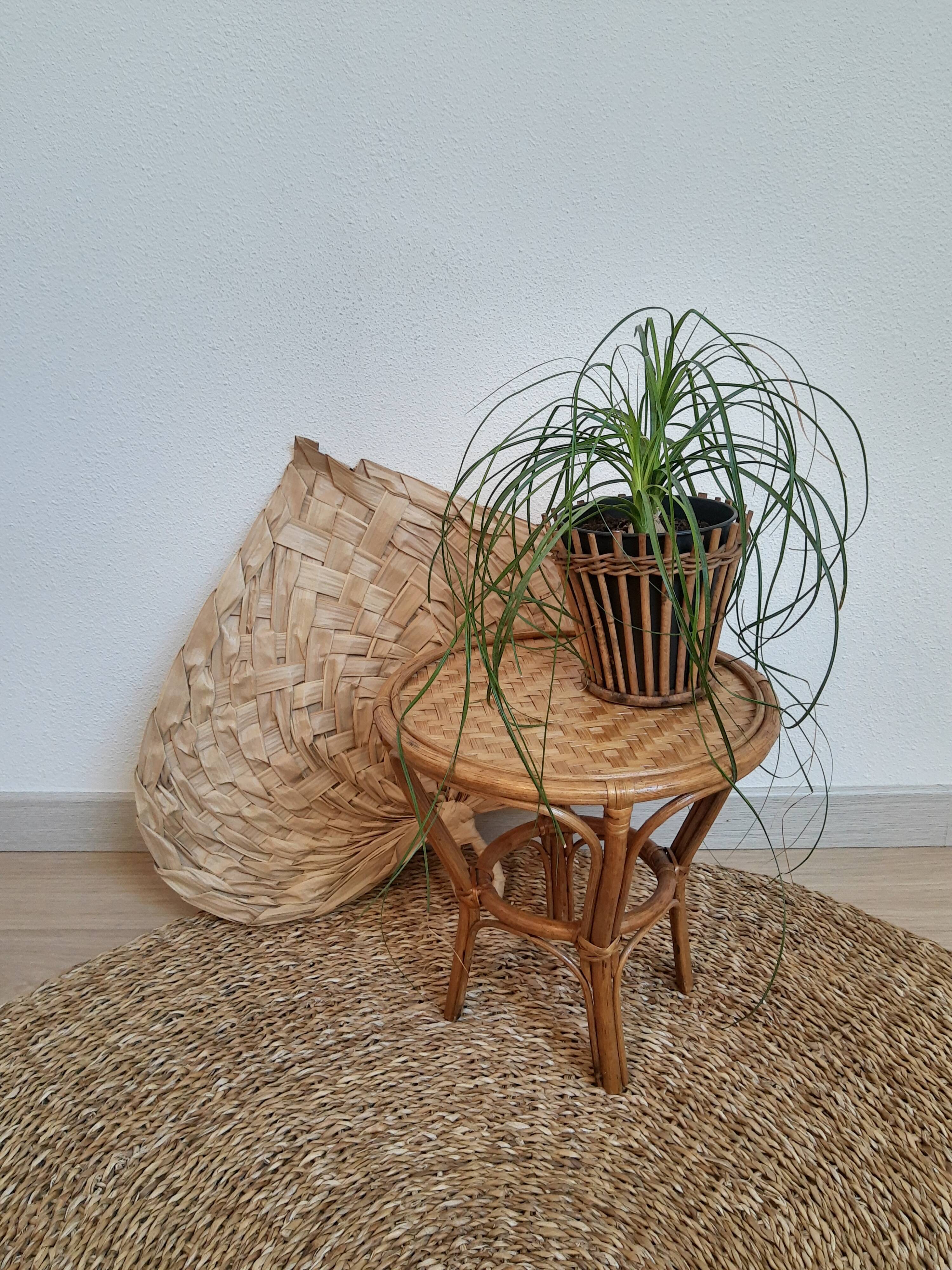 Plant holder in rattan and vintage bamboo
