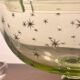 Baccarat/Saint Louis Compotier Ouraline crystal