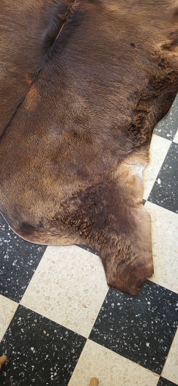 Peau de vache / veau