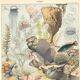 Lithograph plate the ocean its fauna and flora 1900