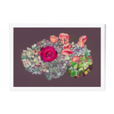 Nature morte - Hortensia et rose