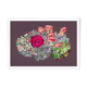 Nature morte - Hortensia et rose