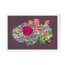 Nature morte - Hortensia et rose
