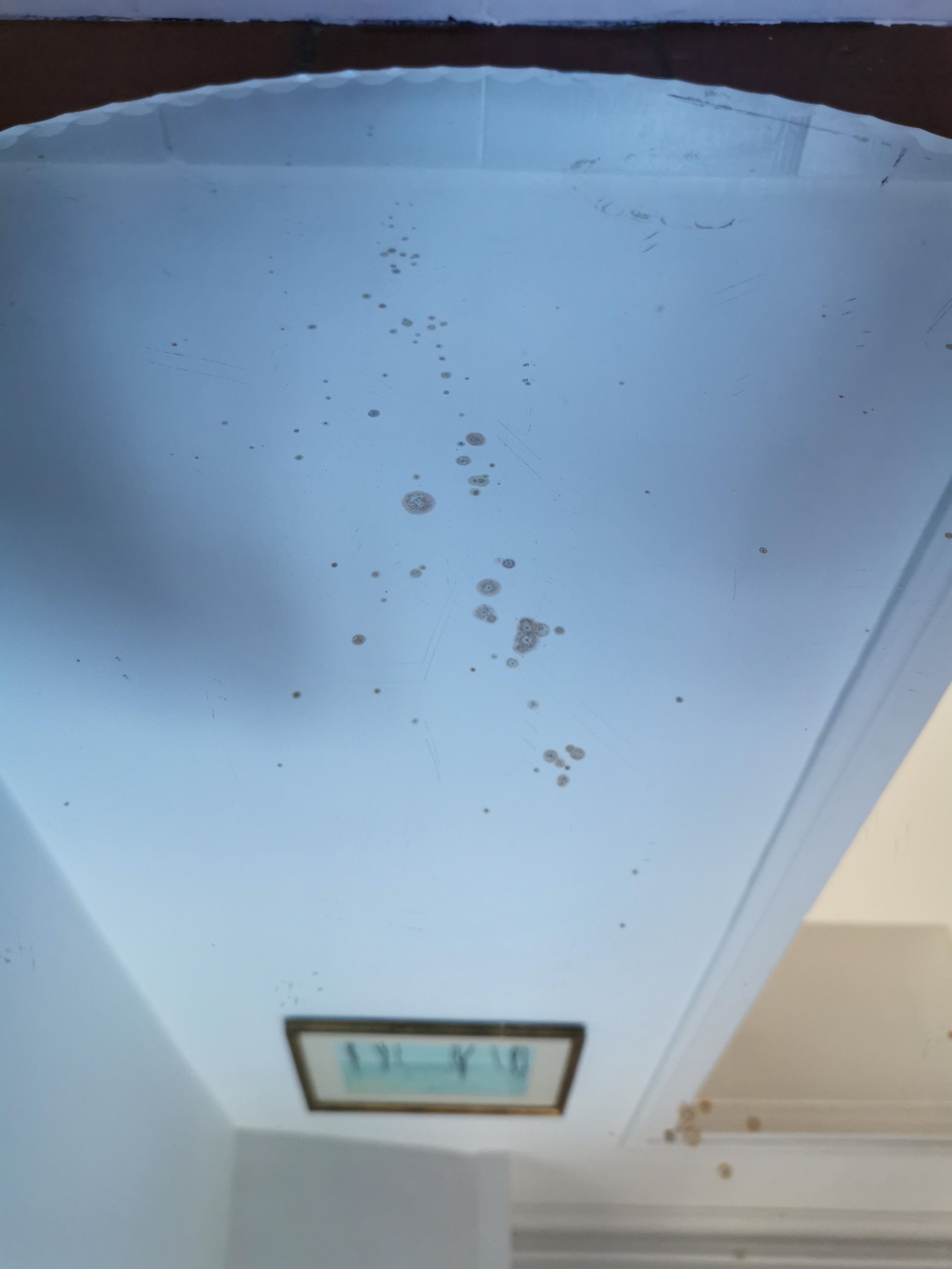 Round beveled mirror 59 cm