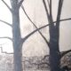 Paris Quai d'Orléans Etching Signed Jean Jules Dufour 1889 1973