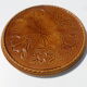 trivia dish