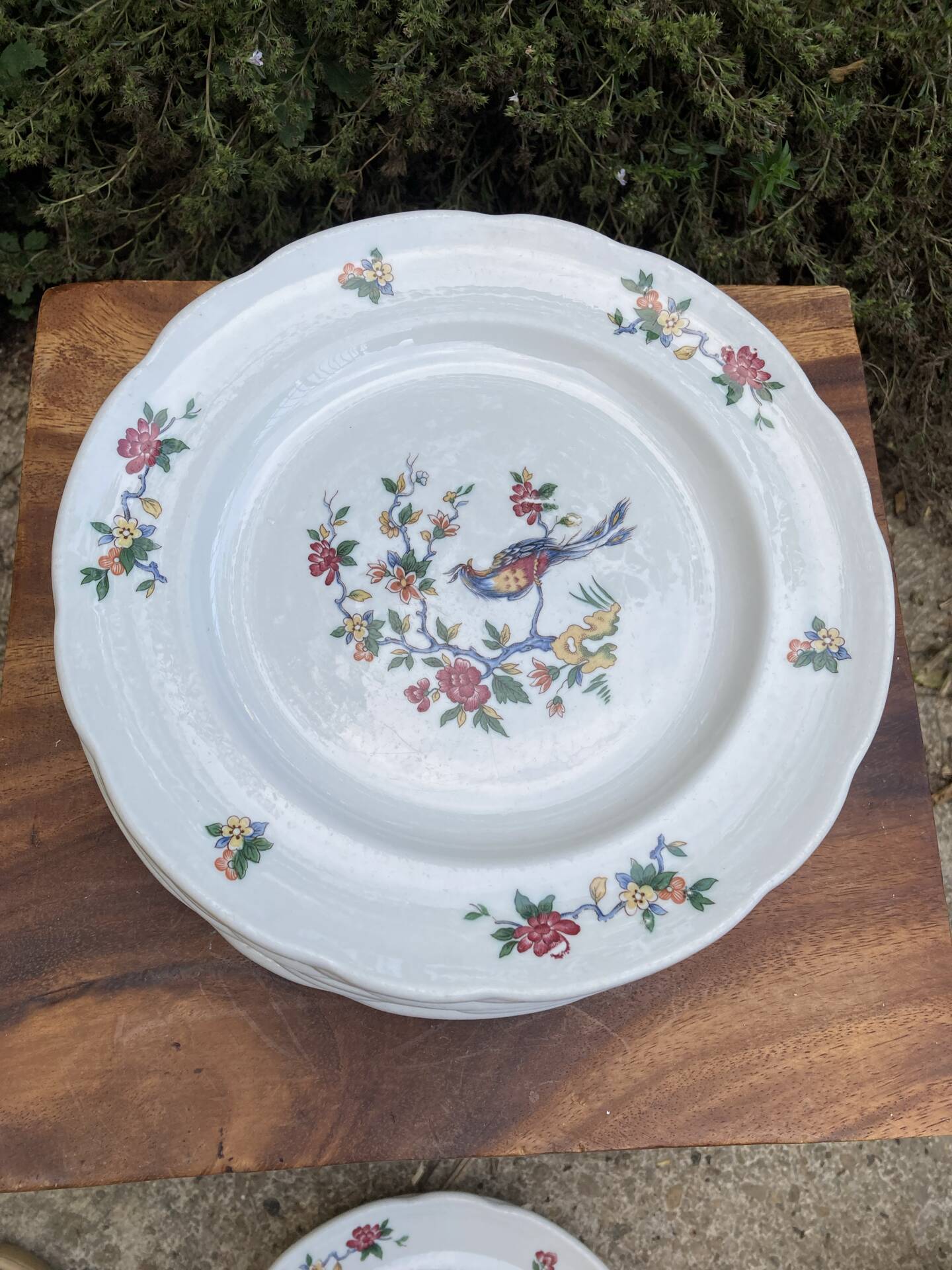 Sarreguemines plates paradise birds / Phoenix