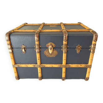 Old large model trunk