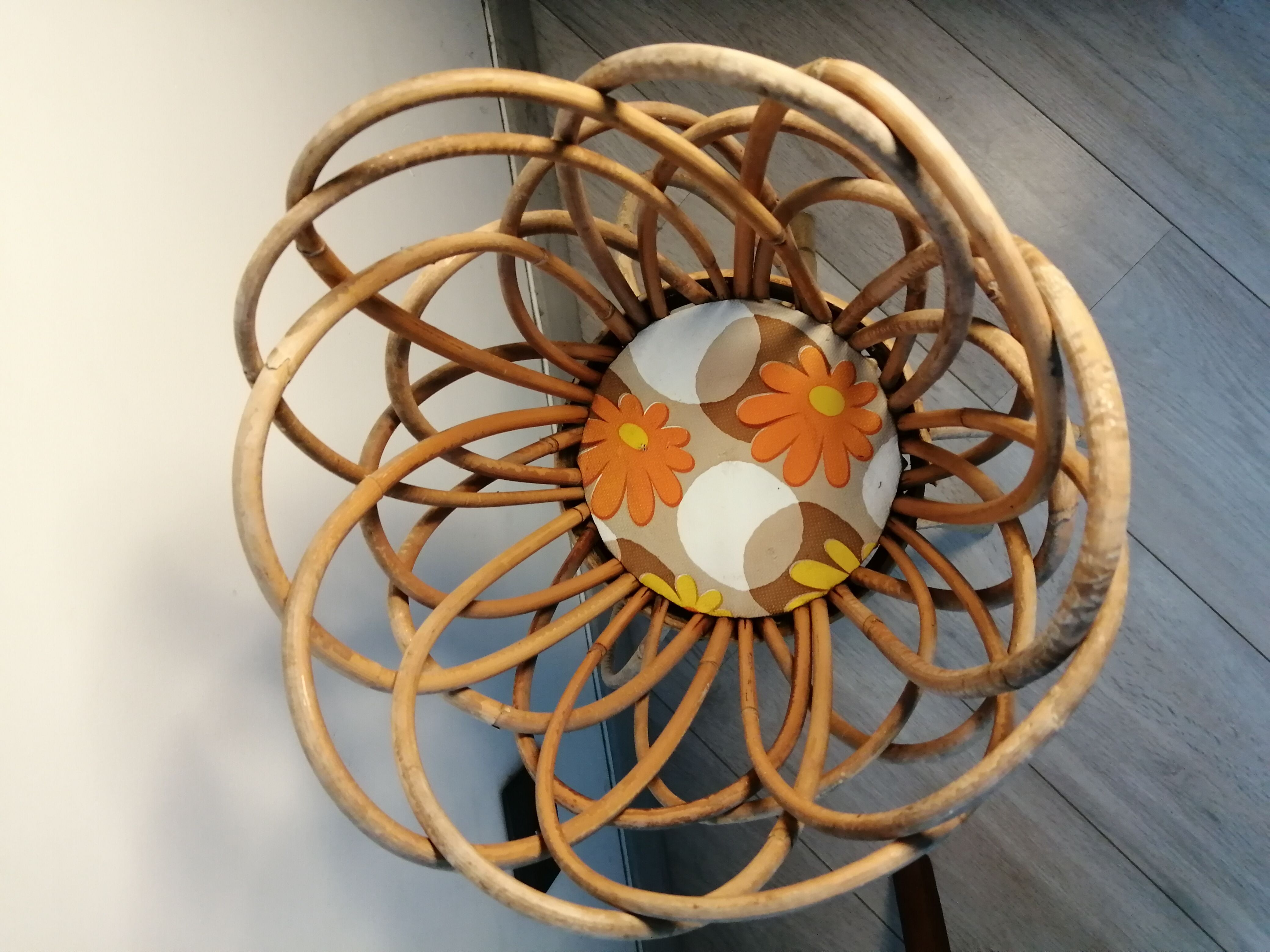 Door rattan plant 60s